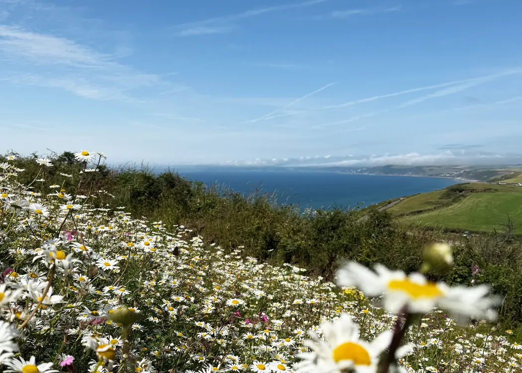 Coastal views over Whitsand Bay, the kind of outlook to assess when buying a holiday lodge