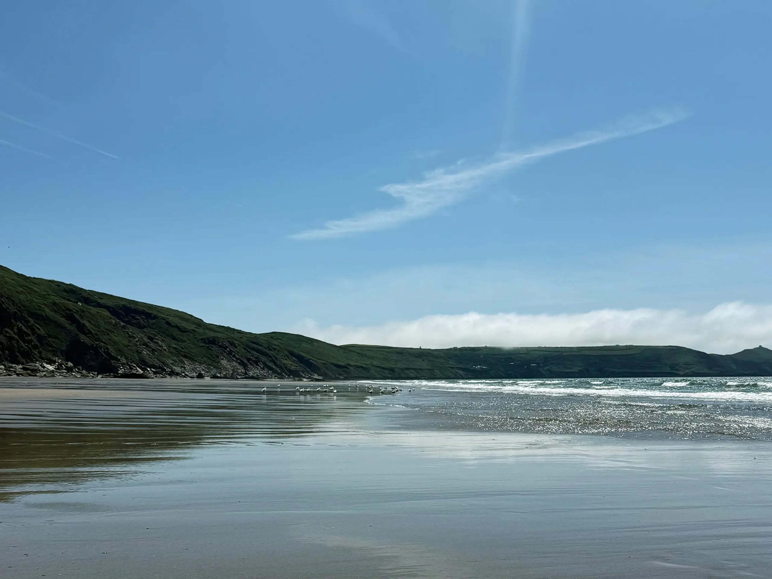 Cornish parkland and coastal countryside near Mount Edgcumbe